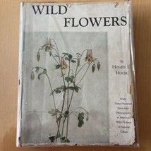 Wild Flowers by Homer D. House / 1936/ 3rd Printing / Hardcover w/dust j... - $39.60