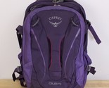 Osprey Celeste Purple Backpack Travel School Laptop Hiking Bag *Poor Con... - $10.88