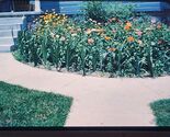 VTG 1952 Kodak Kodachrome Slide Summer Flower Garden Next to SIdewalk House - $9.99