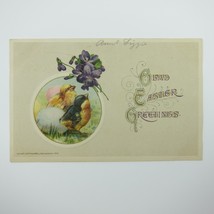 Easter Postcard Chicks Eggs Purple Flower Gold Embossed John Winsch Anti... - £7.83 GBP