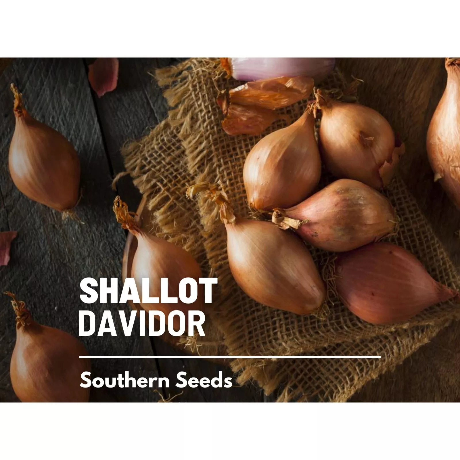 50 of Shallot Davidor Seeds - Hybrid Vegetable Non-GMO Best Shallot, Early - $13.88