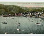 Avalon from Sugar Loaf Santa Catalina Island California Postcard 1900&#39;s - £7.89 GBP