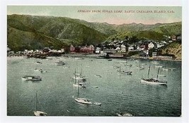 Avalon from Sugar Loaf Santa Catalina Island California Postcard 1900&#39;s - £7.88 GBP