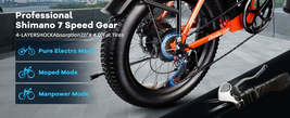 Item image 14