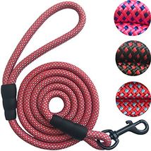 Nylon Dog or Cat Leash - 2/5 Inch Thick 5 Feet Length - £8.23 GBP