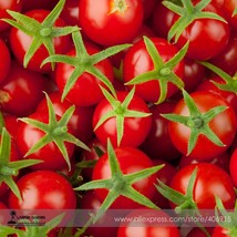 Tonglin Small Round Rose Red Cherry Tomato Seeds Pack 100 Seeds /Pack Hybrid Tas - £5.54 GBP