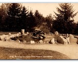 RPPC Fountain in Lincoln Park Tacoma Washington WA UNP Postcard T16 - $10.79