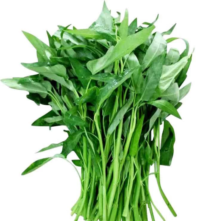 Garden Favorite 40 ps Water Spinach  $1.99, Seeds - $74.37 MXN
