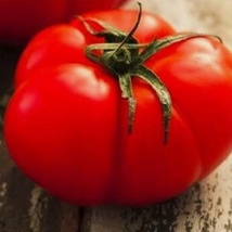 250 Seeds Beefsteak Tomato NON-GMO Heirloom Fresh Vegetable - £7.03 GBP