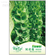 Shell Flower Seeds Seeds Plants Ornamental Plants Seeds Pack 25 Seeds Flower See - £9.26 GBP