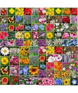 USA Non GMO 5000 Seeds Wildflower Mix Landscaper’S Pack Bulk  - £8.67 GBP