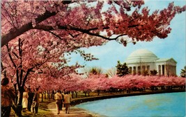 Cherry Blossom Time Thomas Jefferson Memorial Washington DC Postcard PC557 - £3.97 GBP