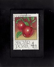 Tchotchke Framed Stamp Art - Collectible Postage Stamp Jonathan Apples - £6.12 GBP
