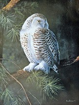 Owl, By Artist Kevin Daniel, print art, (paintings, drawings, watercolors, en... - £14.24 GBP