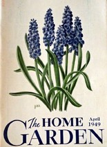 John Burton Brimer, 40's Color Painting (Grape-hyacinths) 5 1/2" x 7 1/2" [co... - $17.89