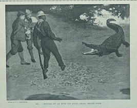 B.J. Rosenmeyer (Alligator) print art, original rare 1913 The Youth&#39;s Compani... - £14.07 GBP