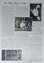 The Merry Month of May, [magazine article], 1909 Print Ad. Full Page B&amp;W... - £13.44 GBP