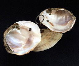 French Palace Royal Boutique Mother-Of-Pearl Shell Ring Holder. 19th century.  - £143.88 GBP