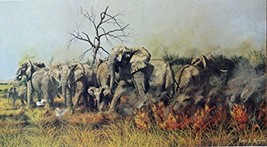 Elephants &quot;Native Bush Burning&quot;, By Artist Gary R. Swanson, print art, (Oil p... - £14.30 GBP