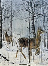 Danger Ahead, buck and doe Deer, By Artist Charles H. Denault, print art, (pa... - $12.99