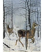 Danger Ahead, buck and doe Deer, By Artist Charles H. Denault, print art... - £10.21 GBP