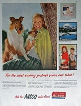 Ansco Film, 40&#39;s Print ad. Full Page Color Illustration (collie dogs) Origina... - £13.98 GBP