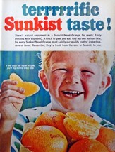 Sunkist Navel Orange, 60's full page Color Illustration, 10 1/2" x 13 1/2" Pr... - $17.89