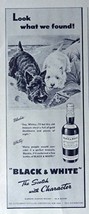 Black &amp; White Scotch, 40&#39;s Print Ad. B&amp;W Illustration (Dogs Blackie and White... - £13.99 GBP