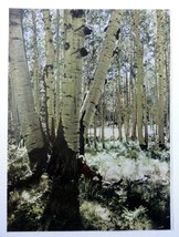 Landwehr, 40's Color Photo 8" x 11", Print art (reclined by aspen tree) 1948 ... - $17.89