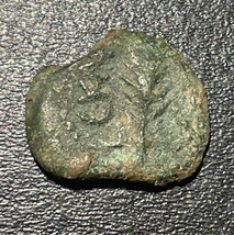 58-59 AD Judea Nero Porcius Festus AE Prutah Widow&#39;s Mite 1.83g Palm Branch Coin - £25.32 GBP