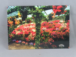 Vintage Postcard - Schizanthus Flowers Butchart Gardens - Peacock Postcards - £11.99 GBP