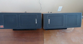 Sony SRS 100 Active Speakers System, see video!! - $90.53