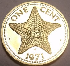 Rare Proof Bahamas 1971 Cent~Starfish~Only 31,000 Minted~Excellent~Free ... - $5.28