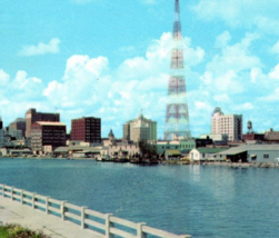 Tampa Florida Skyline From Hillsboro River Postcard Vintage - $13.95