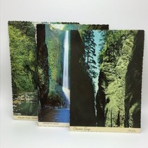 Vintage Postcards Oregon’s Oneonta Falls Columbia River Gorge Lot Of 3 - £4.65 GBP