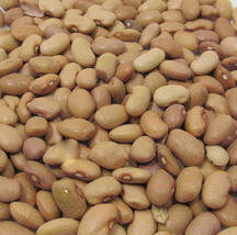 Bolita Pinto Beans No Gas 1/2 pound 8 ounces Dry Thin Skin Recipe US Seller - £10.11 GBP