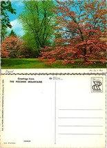 Pennsylvania Pocono Mountains Beautiful Dogwood Trees Leaves VTG Postcard - £7.37 GBP
