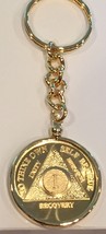 1 Year Gold Plated AA Medallion Keychain Removable Chip - £19.97 GBP
