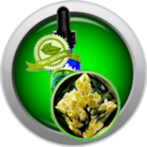 May Chang Essential Oil (Litsea Cubeba) - $6.00+