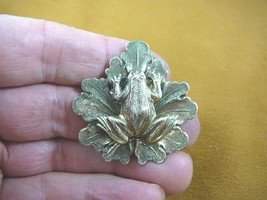 (b-frog-153) Frog pond sitting baby frog on leaf brass pin pendant amphi... - $337.38 MXN