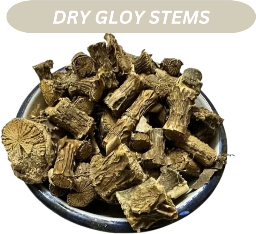 Guduchi Giloy Dried Stem - $12.49+