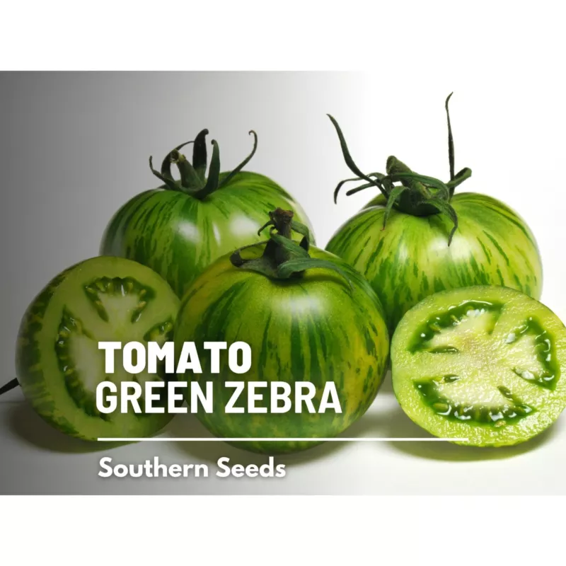 50 Seeds Tomato Green Zebra Grow Swiftly With Heirloom Plant Seeds - $9.95