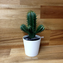 IKEA FEJKA Artificial Potted Plant Cactus 5.25&quot; New 605.871.54 - £9.11 GBP