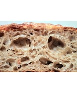 organic san francisco sourdough starter yeast TANGY EXTRA SOUR NEW wharf