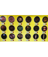Fireworks Art Label Assorted  Ad for July 4th GOAT SHOW Gallery - $473.00 CAD