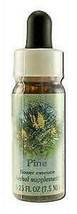 Flower Essence Services (fes) Healing Herbs English Flower Essences Pine - £8.51 GBP