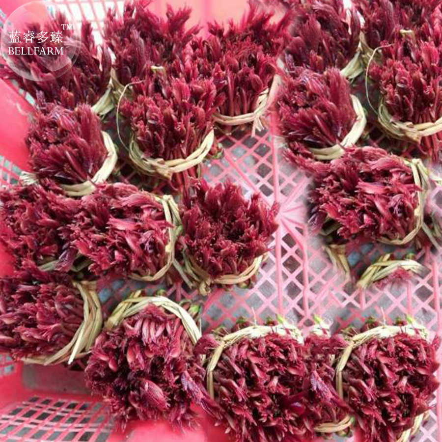 Cedrela Sinensis Chinese Toon Organic Vegetable Seeds 50 Seeds Pack Tast... - $13.98