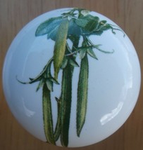 Cabinet Knobs Knob w/ Green String Beans Vegetable - £4.08 GBP