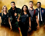 Chicago Fire Season 6 DVD | Region 4 &amp; 2 - $23.60