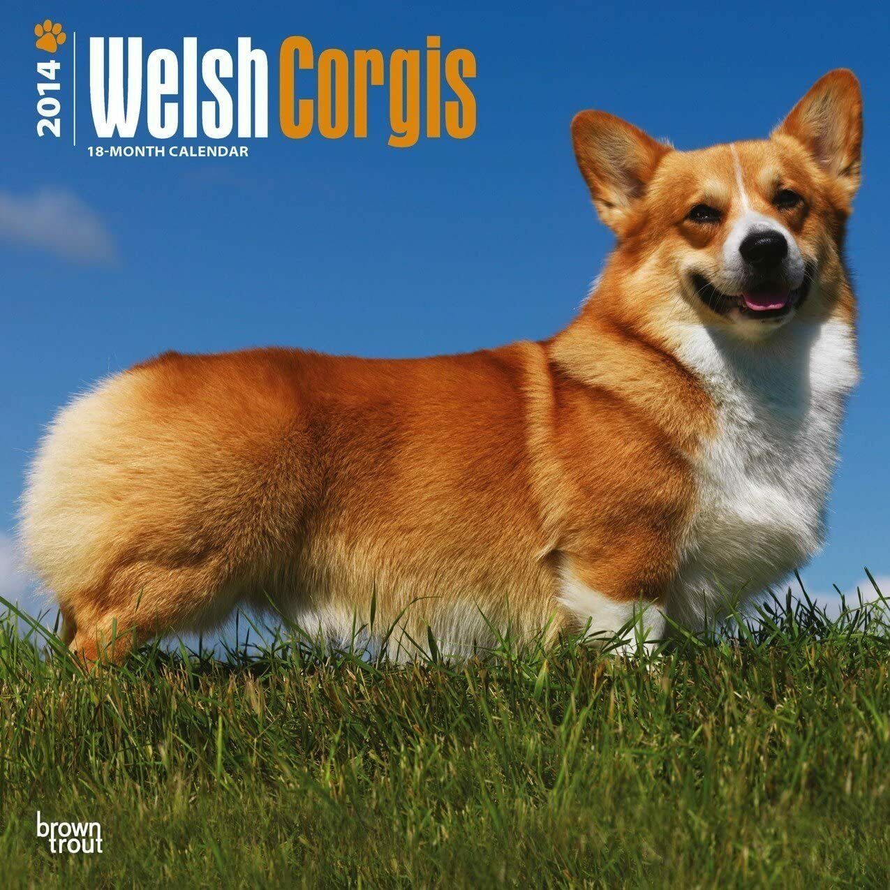 Primary image for Welsh Corgis 2014 Calendar, 18-Month Calendar (Multilingual Edition)